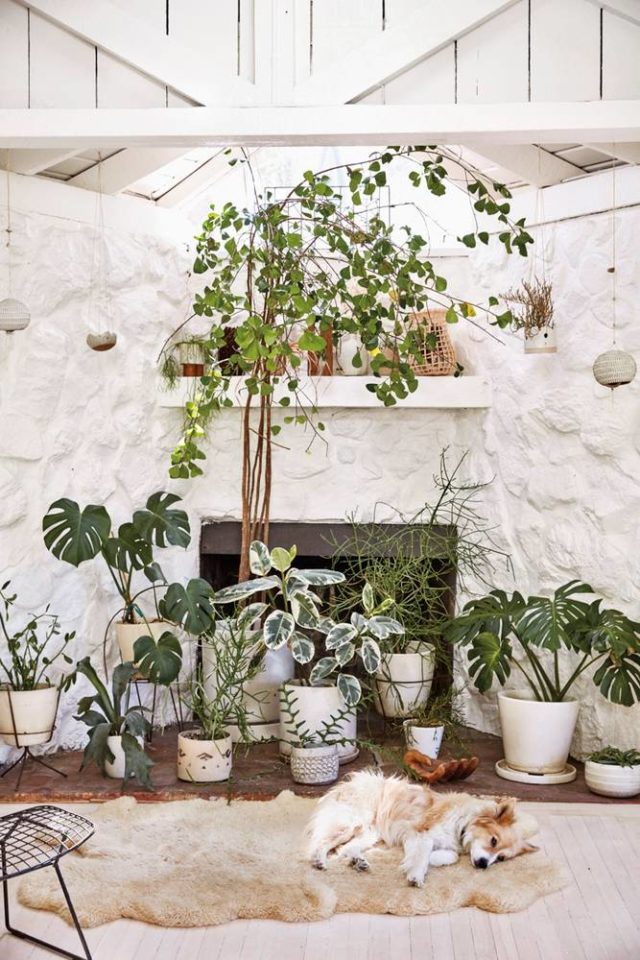 General Store’s Serena MitnikMiller Topanga Canyon Home Honestly WTF