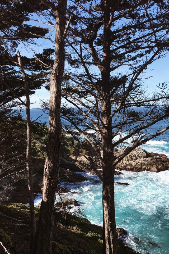 Visiting Big Sur – Honestly WTF