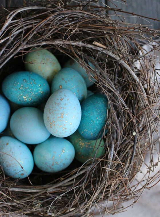 DIY Naturally Dyed Robin Eggs