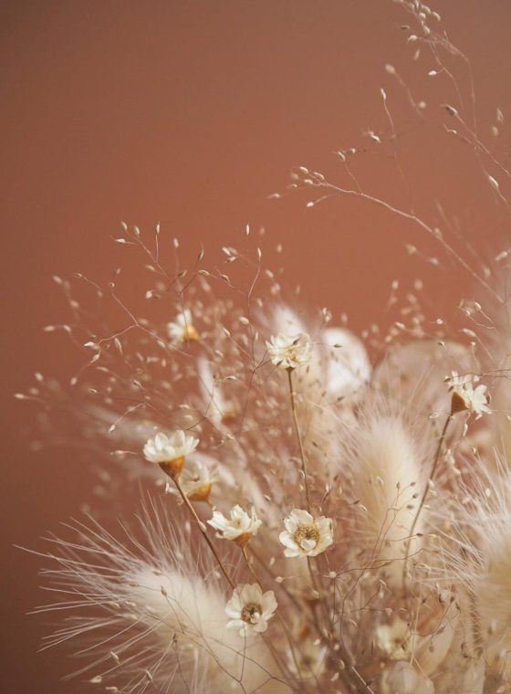 Currently Obsessed With: Dried Flowers & Grasses